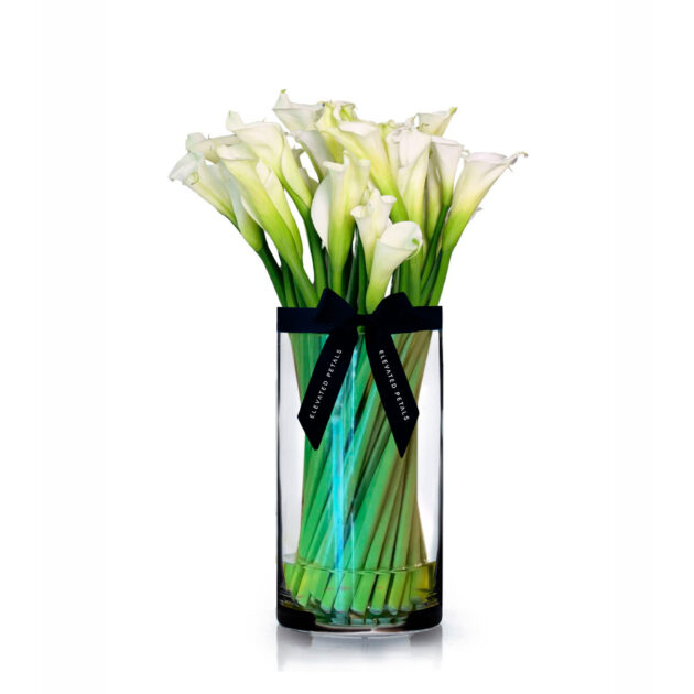 Premium Calla Lilies